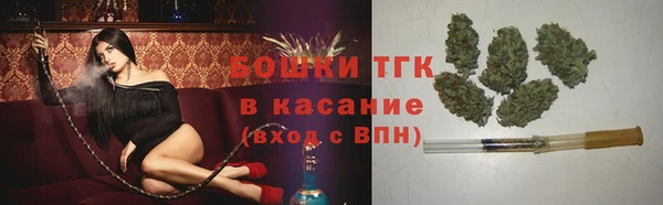 амф Аркадак