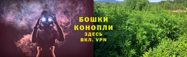 бошки Арсеньев