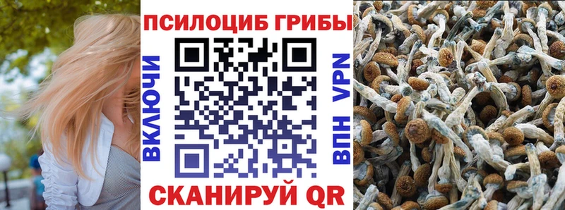 Псилоцибиновые грибы Psilocybe блэк спрут онион Унеча мориарти как зайти где продают наркотики