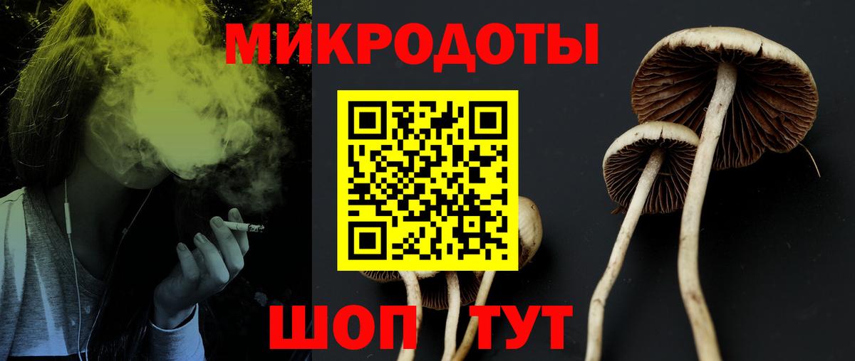 Унеча  Галлюциногенные грибы MAGIC MUSHROOMS  Вход с VPN 