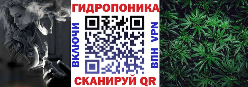 Конопля конопля  Унеча 